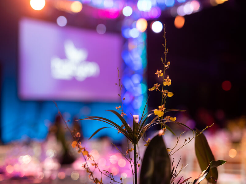 Halcyon Awards close up